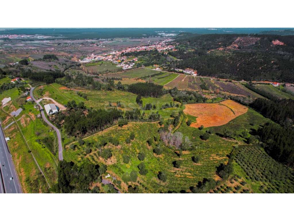 Terreno com 130000m2 destinado à agricultura no Alto da Maiorga - Grande imagem: 4/24
