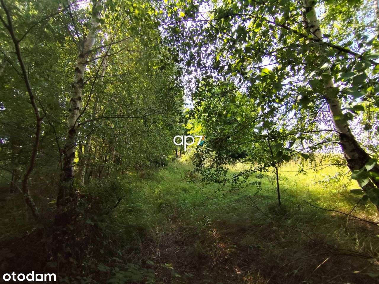 Działka, 5 700 m², Bodzanów-4