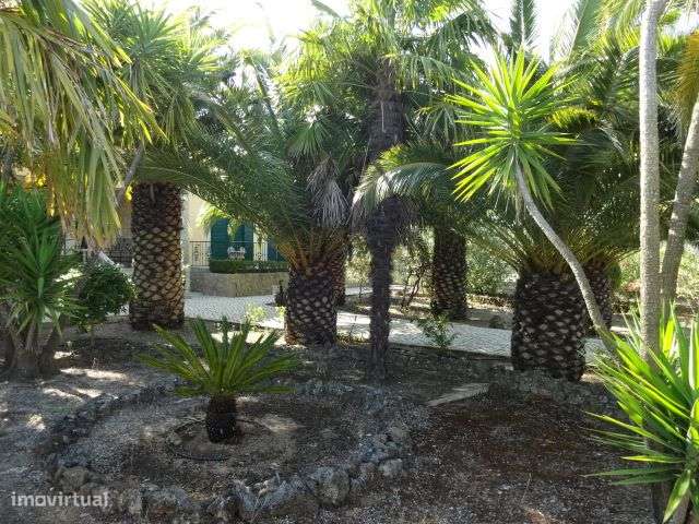 Quinta T/7 Cartaxo-36