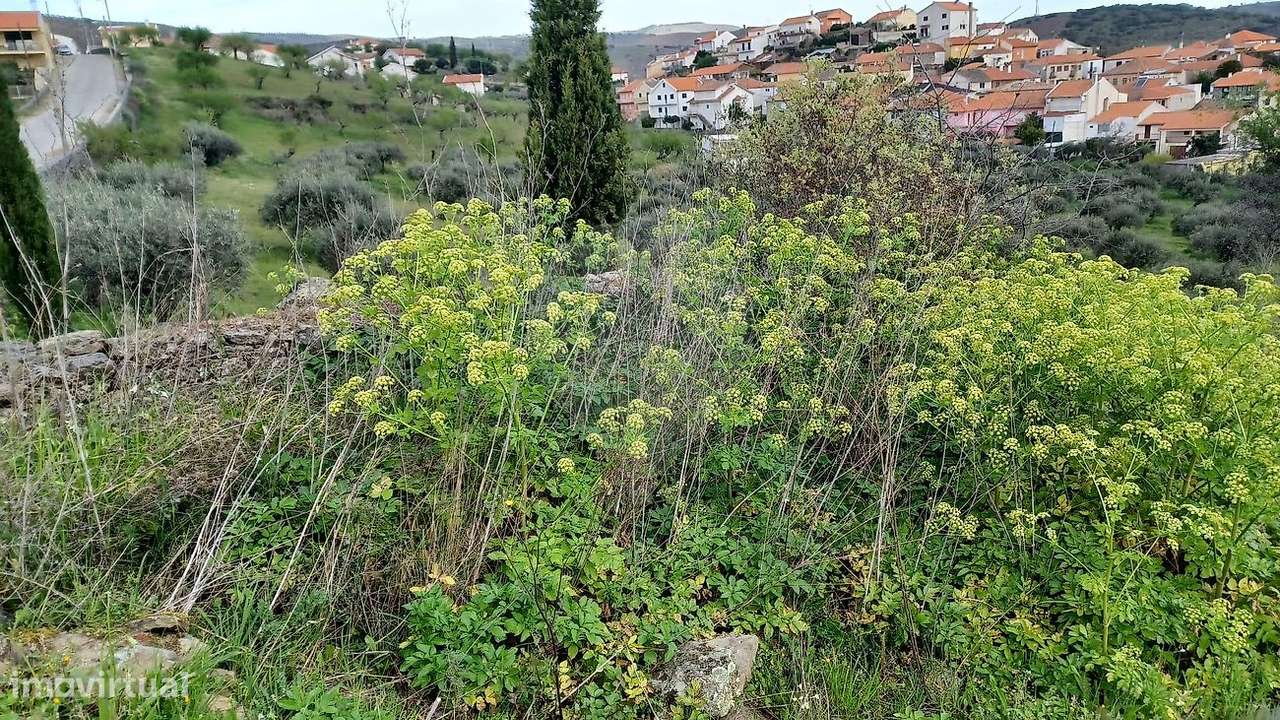 Terreno  para venda - Grande imagem: 4/4