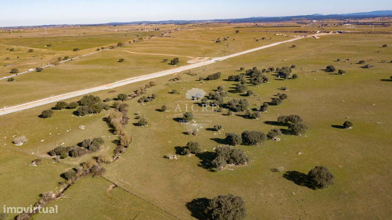 Herdade  junto a Évora - Grande imagem: 5/17