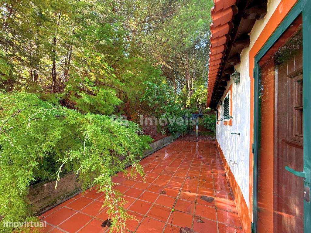 Quinta c/ Moradia Térrea e 17.000m2 de Terreno - em Alverangel, Tomar - Grande imagem: 5/51