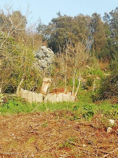 Vende-se terreno com 4000m2 - Grande imagem: 3/4