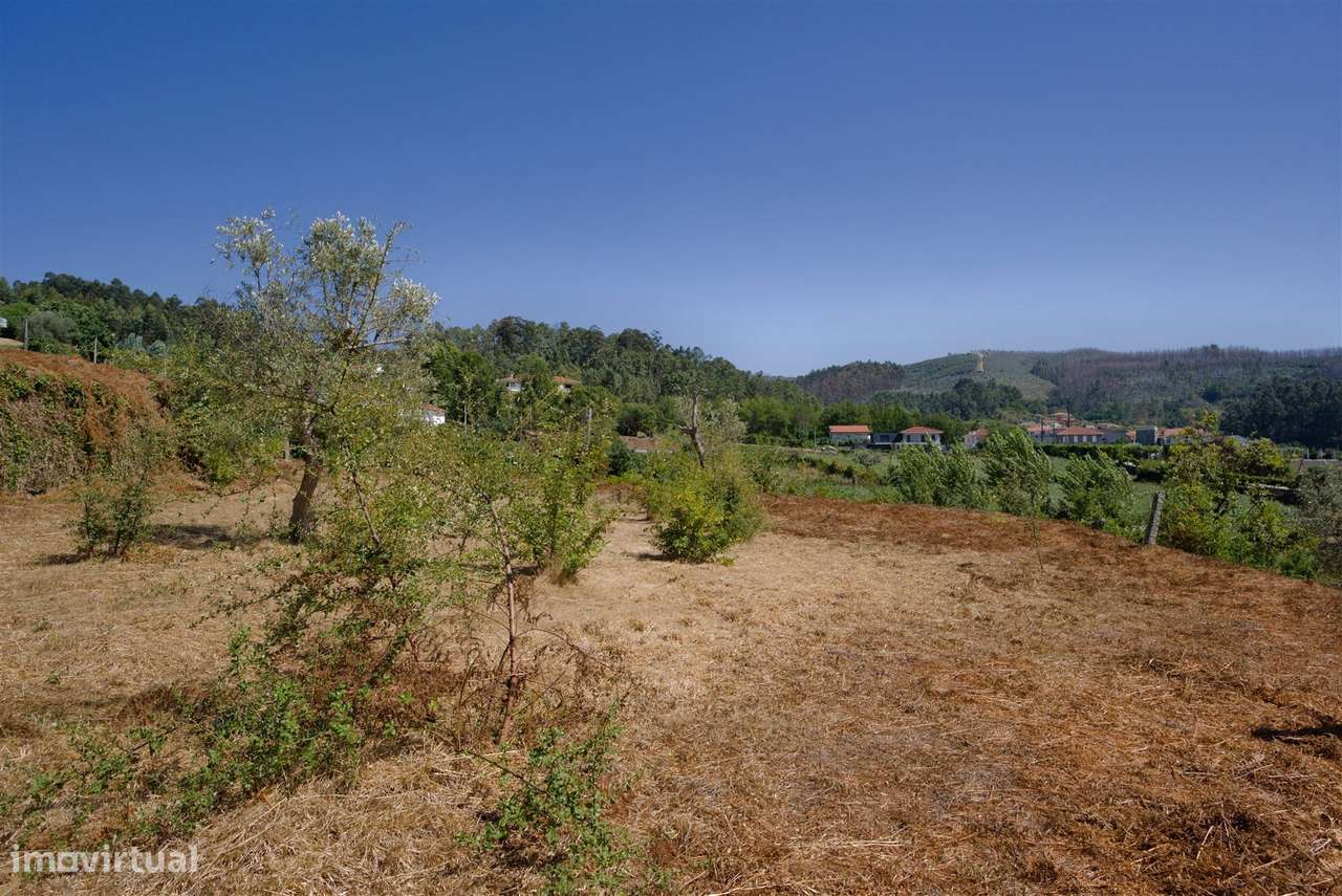 Terreno  Venda em Real,Castelo de Paiva-7