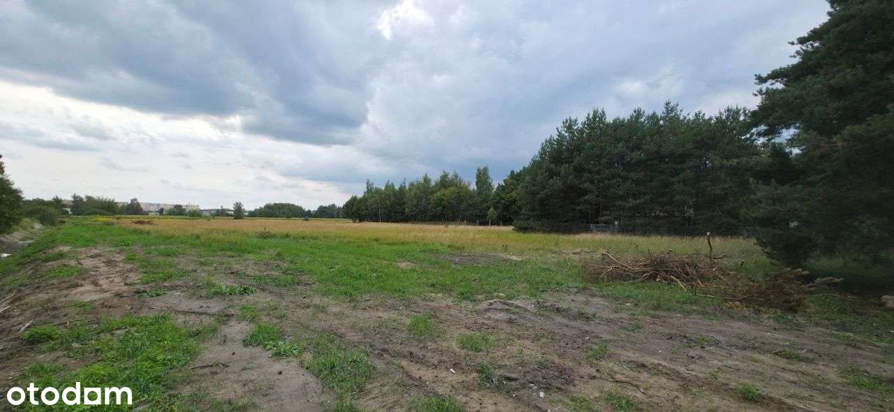 Działka, 16 937 m², Kutno-4