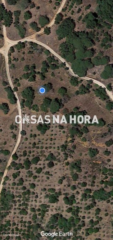 Terreno com 30 hectares com ruína em Silves Algarve