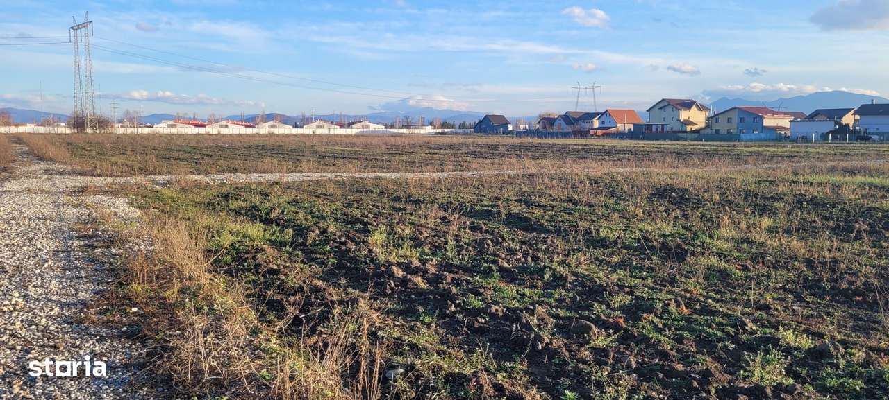 Vindem 36 de parcele cu P.U.Z in Halchiu-3