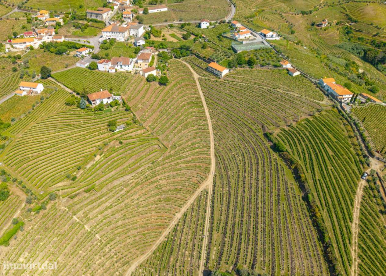 Duas quintas com 30ha para venda em Santa Marta de Penaguião, propried-26