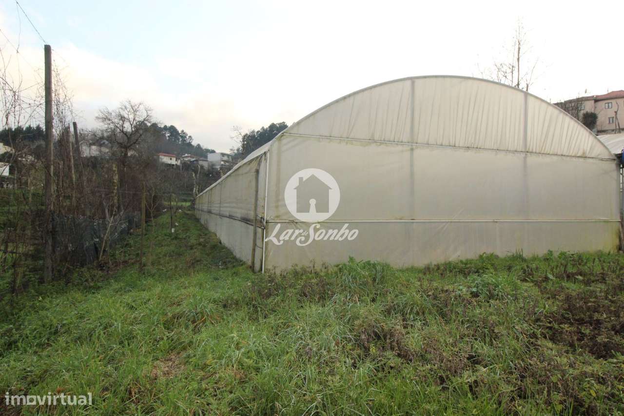 Terreno Silvares S. Martinho Fafe - Grande imagem: 4/4