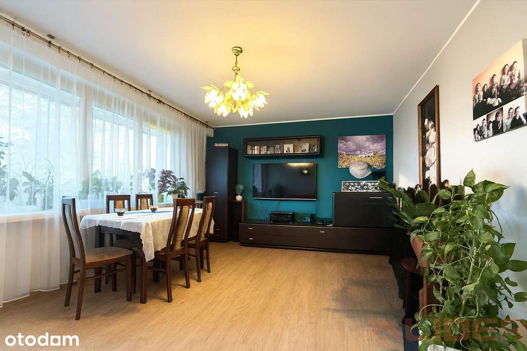 3 pokoje, 1 piętro, winda, dwustronne-1