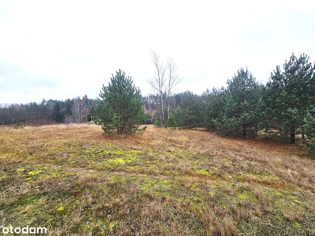 Działka budowlana z wydanym pozwoleniem na budowę domu jednorodzinnego-3