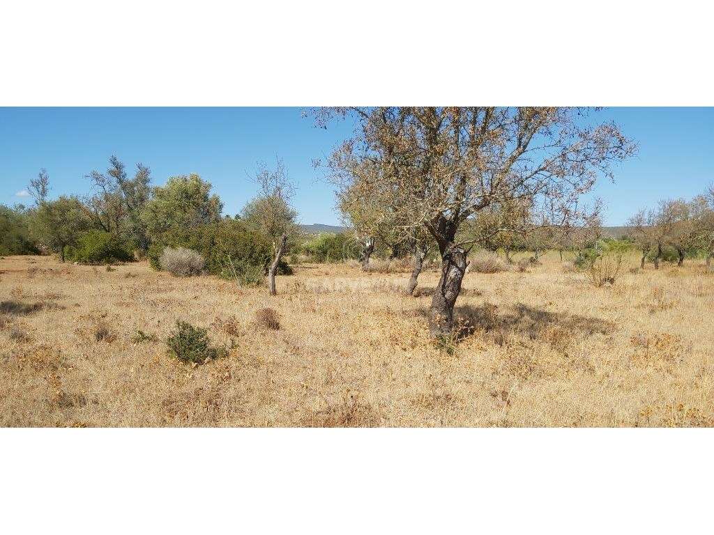 Terreno rústico, em zona agrícola, Curral da Pedra, Paderne, Albufe... - Grande imagem: 4/26