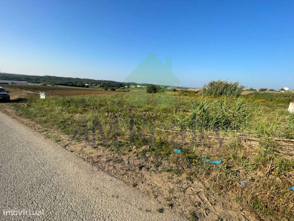 TERRENO RÚSTICO|LOURINHÃ - Grande imagem: 4/4