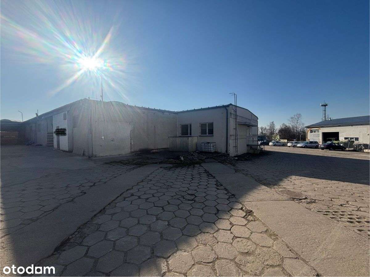 Hala produkcyjna/magazyn, rampa, biuro+socjal - Pełny obrazek: 5/14