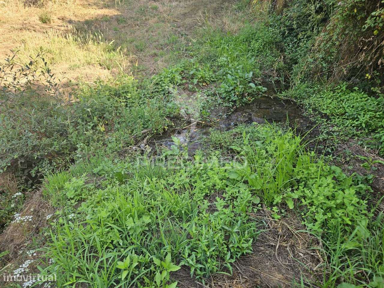 Moagem à venda junto a Ribeira - Grande imagem: 4/11