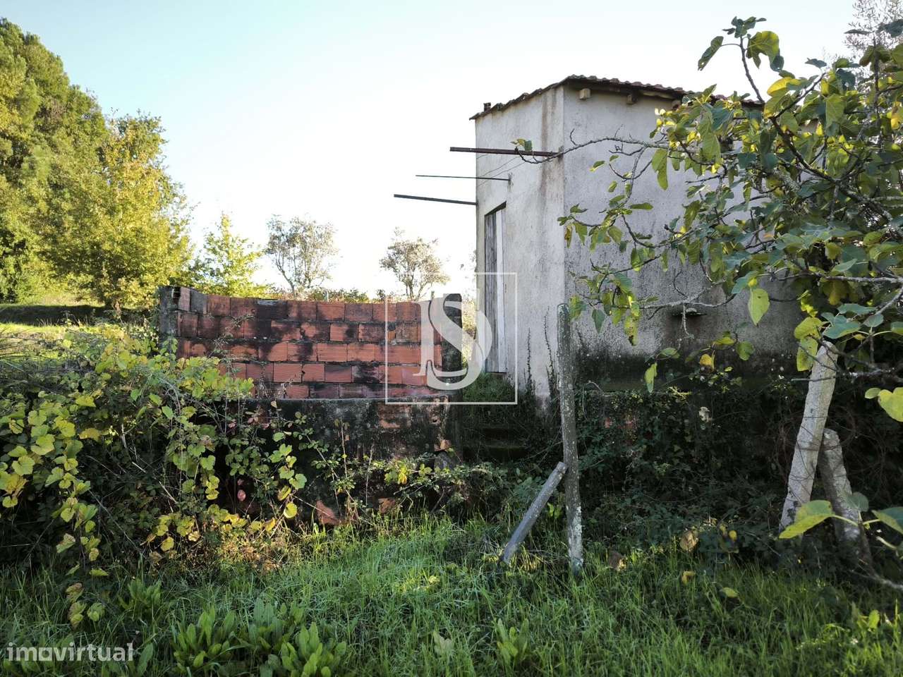 Terreno Rústico com capacidade construtiva em Oliveirinha-12