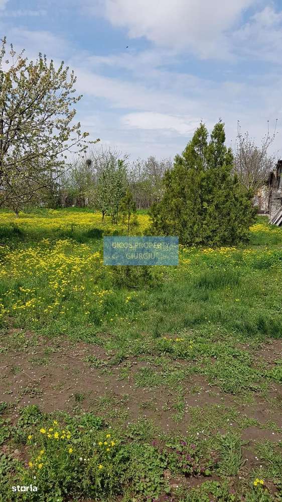 Teren 2.600 mp, utilități, Str. Merișor – Giurgiu-9