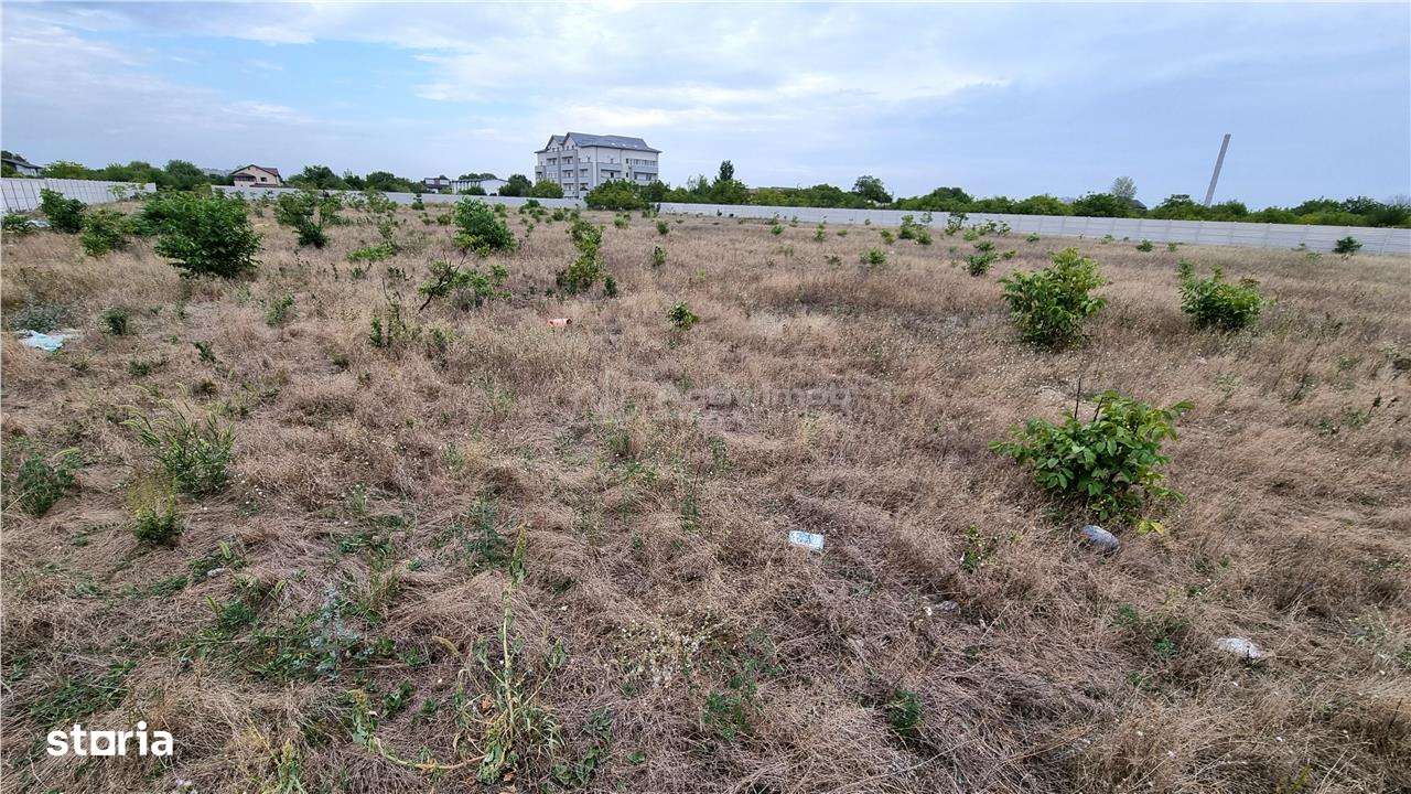 Teren 10.000 mp Giurgiului Tiparnitei - Imagine principală: 5/8