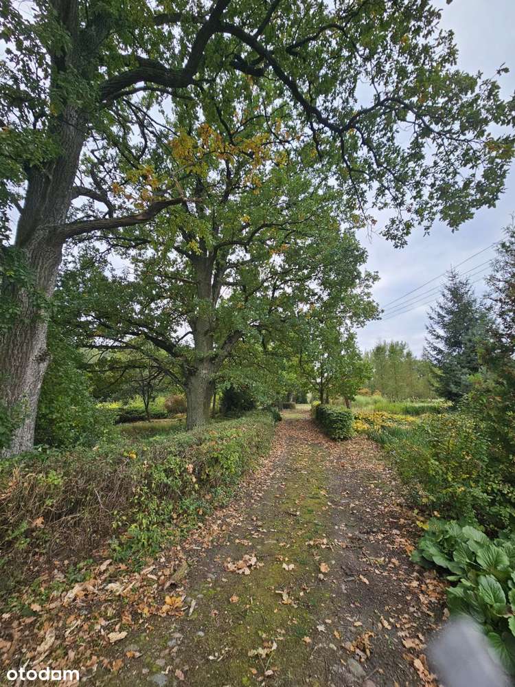 Działka wielofunkcyjna, Spa, Dom opieki, siedlisko-9