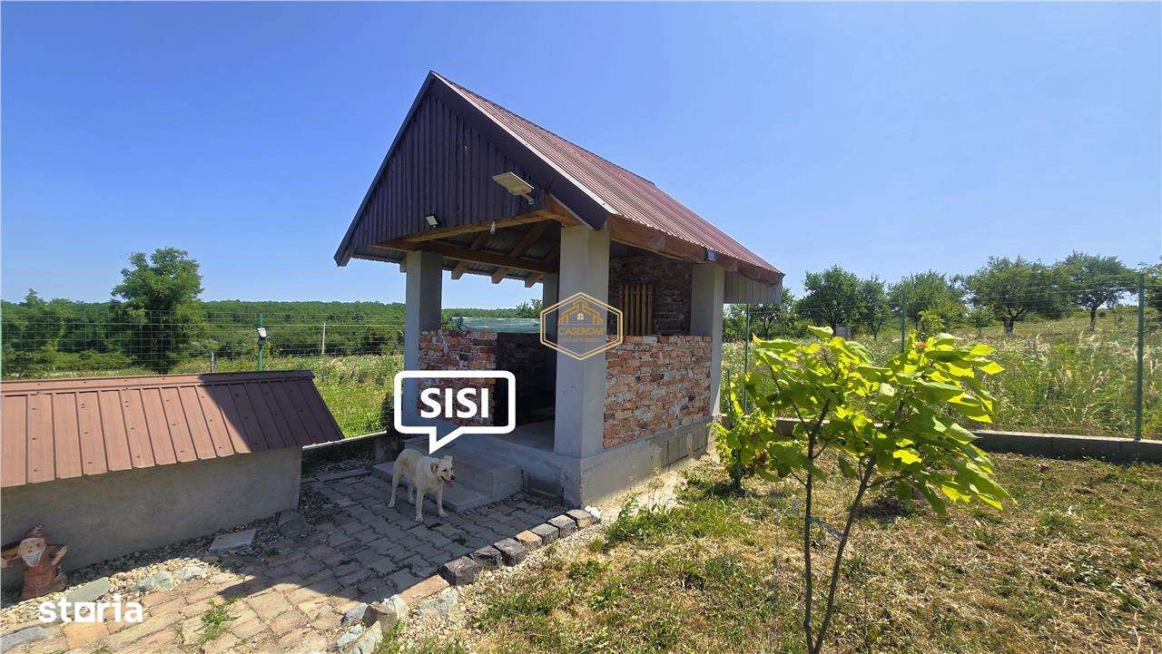 VIDEO | Loc de casa, cabana sau turism - Ardud | Vedere spre Satu Mare-12