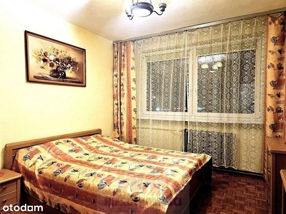 Mieszkanie 3 pokojowe wolne od zaraz.-6