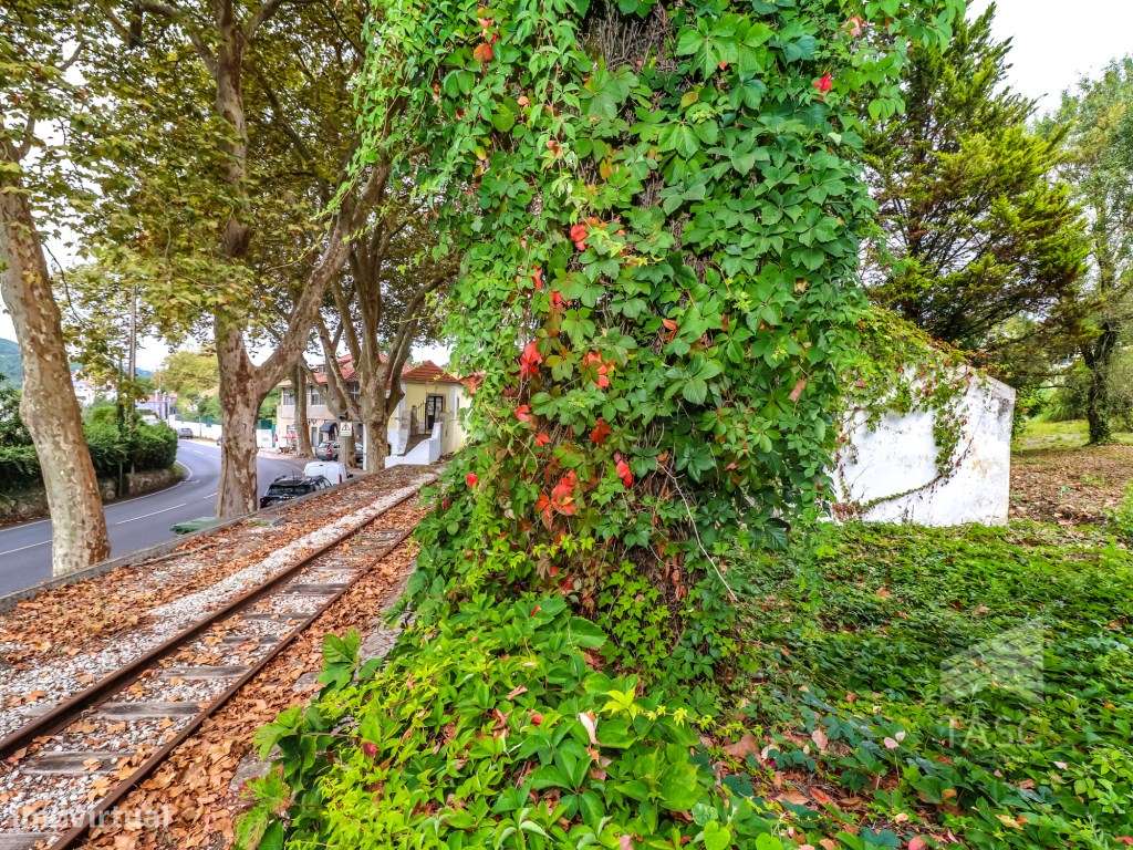 Moradia para reconstrução em Colares-8