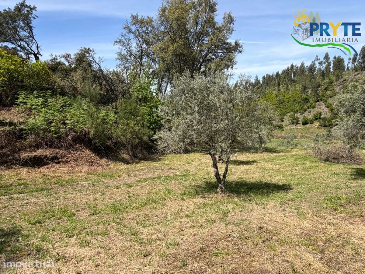 Terreno com uma ruína não registada a 6 quilómetros da Sertã-16