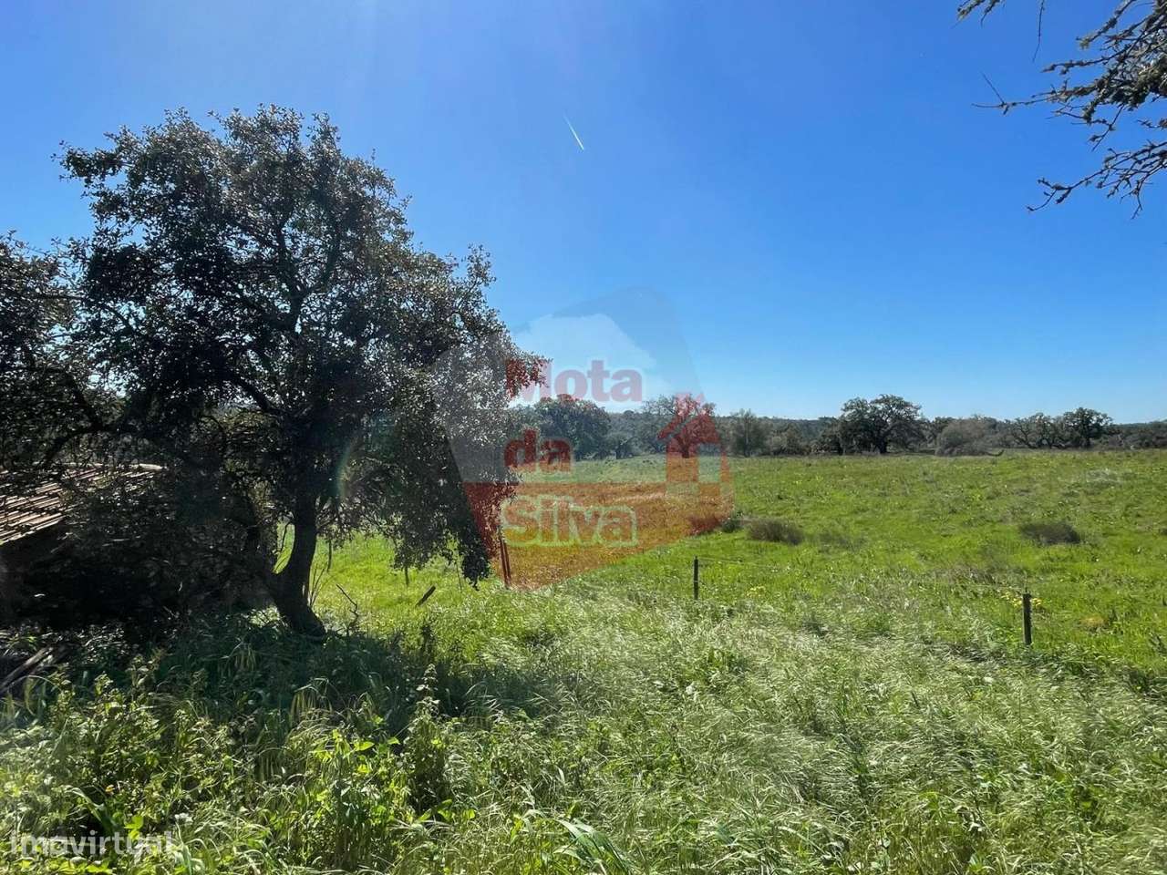 Quinta com casa em São Francisco da Serra-8