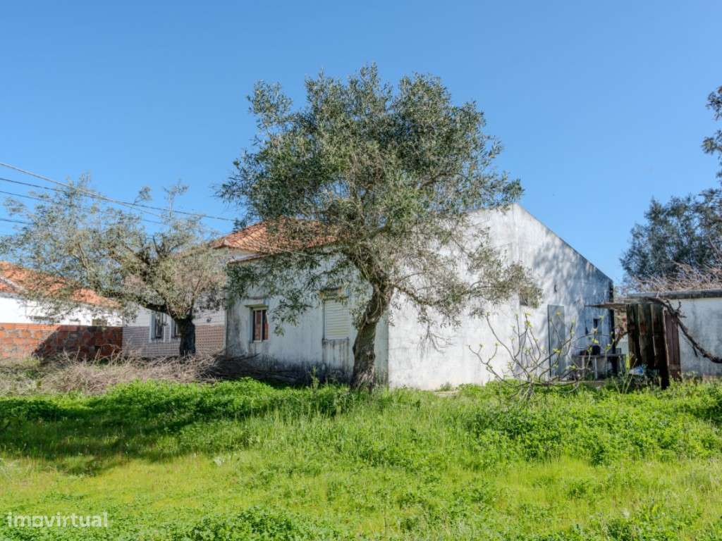 Quinta para Venda na Aldeia do Futuro - Grândola-32