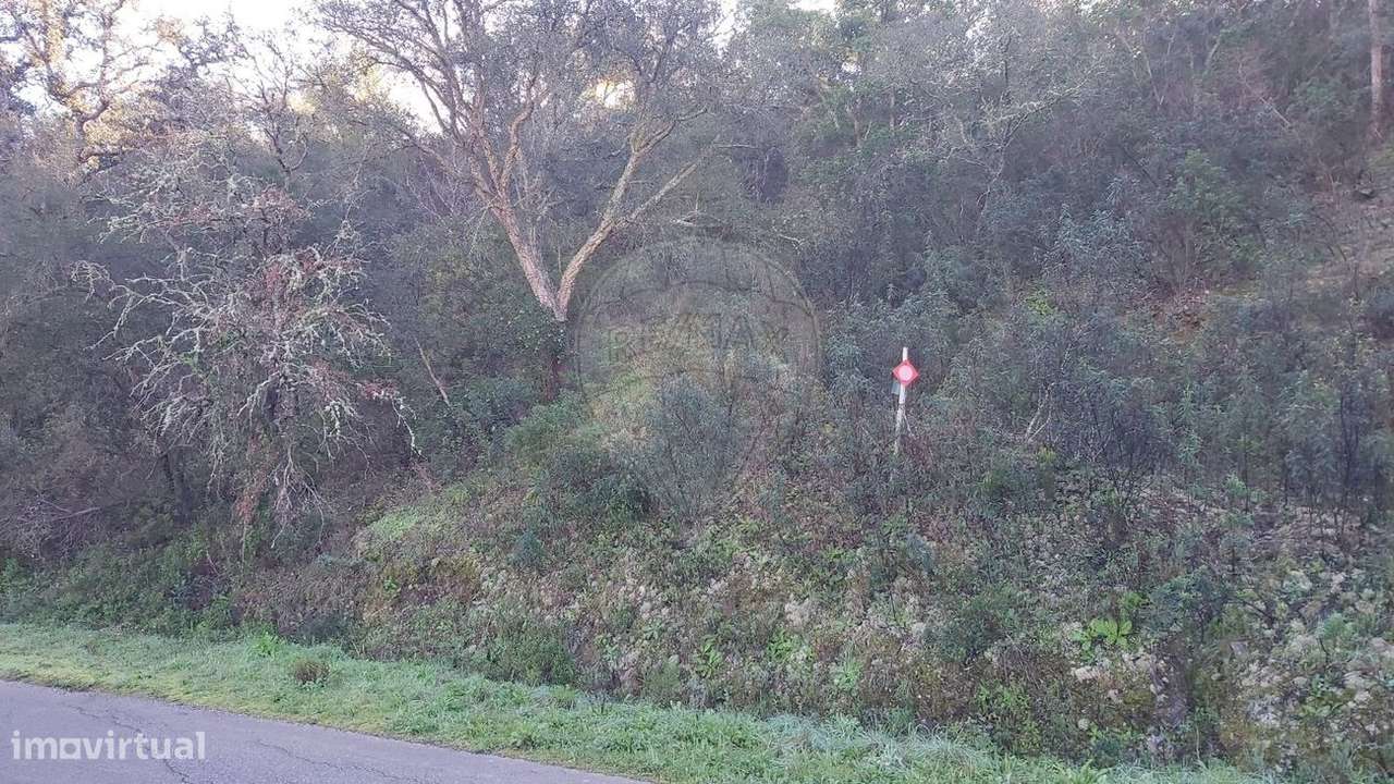 Terreno  para venda - Grande imagem: 5/10