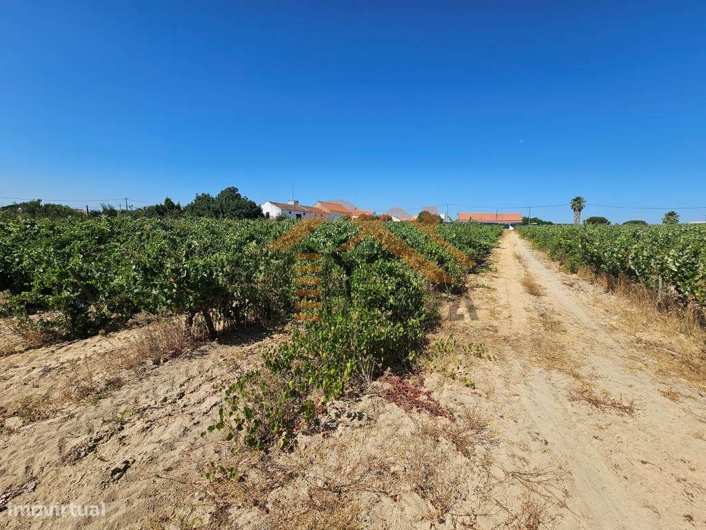 Oportunidade Única no concelho de Palmela, freguesia de Poceirão e ... - Grande imagem: 5/23