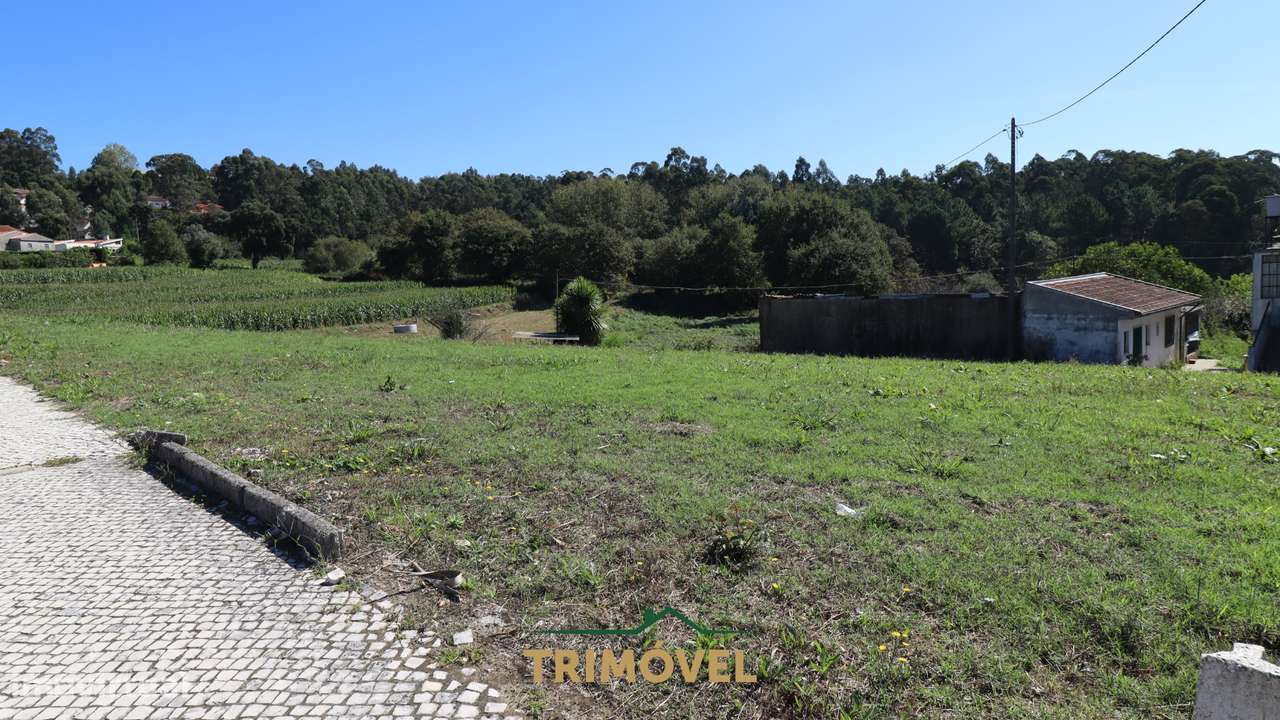 Terreno para Construção em Oliveira de Azeméis - Grande imagem: 1/4