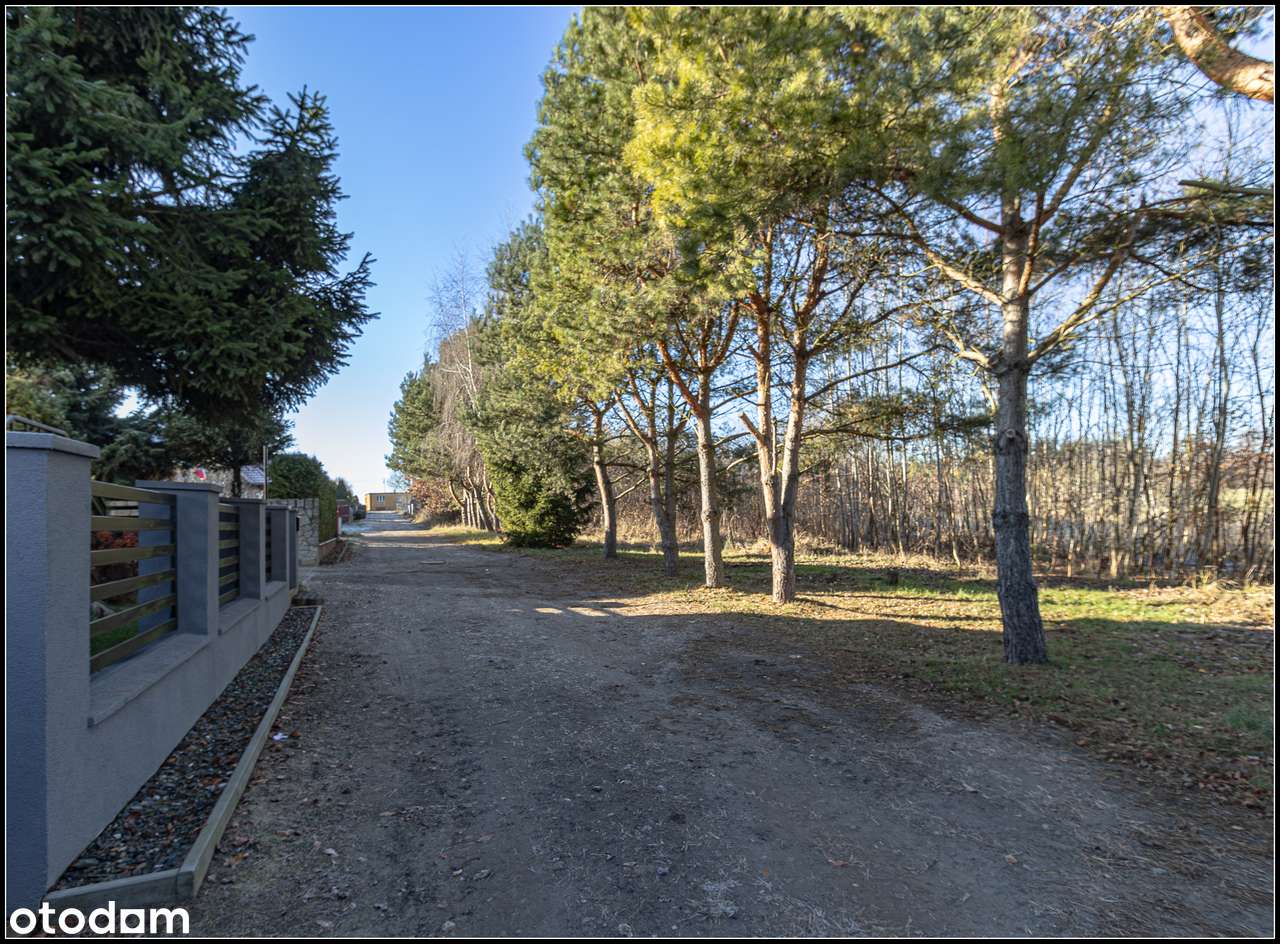 Kiekrz - działka rolna 5 879m2-17