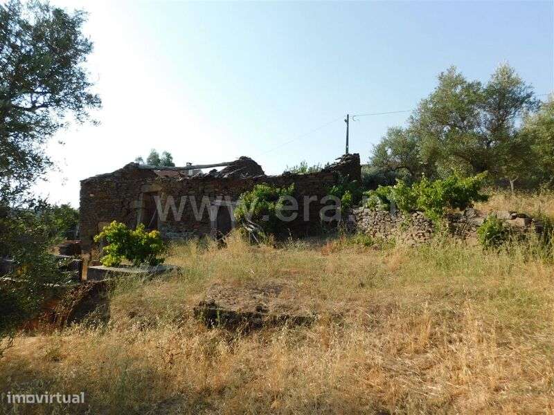 Terreno com ruina / Fundão, Enxames - Grande imagem: 4/5