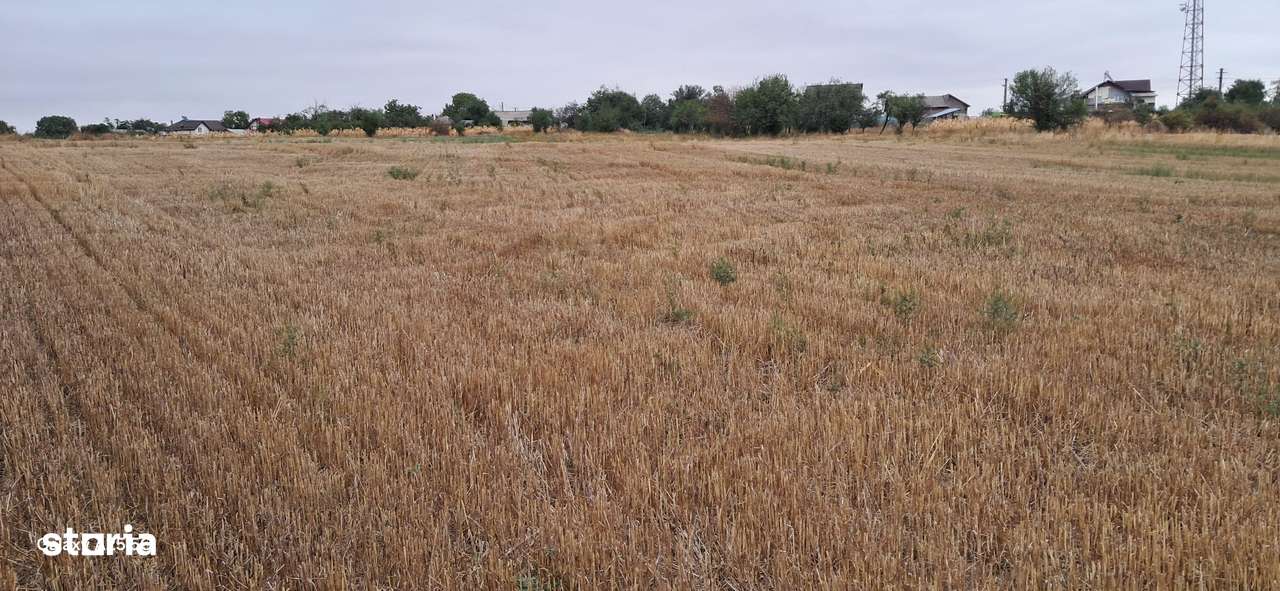 Vănd casa langa Pitesti +5800mp teren( intravilan+extravilan) - Imagine principală: 5/11