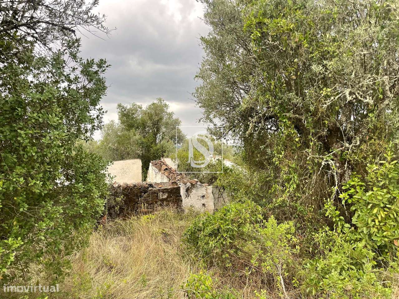 Quintinha em Montargil-16