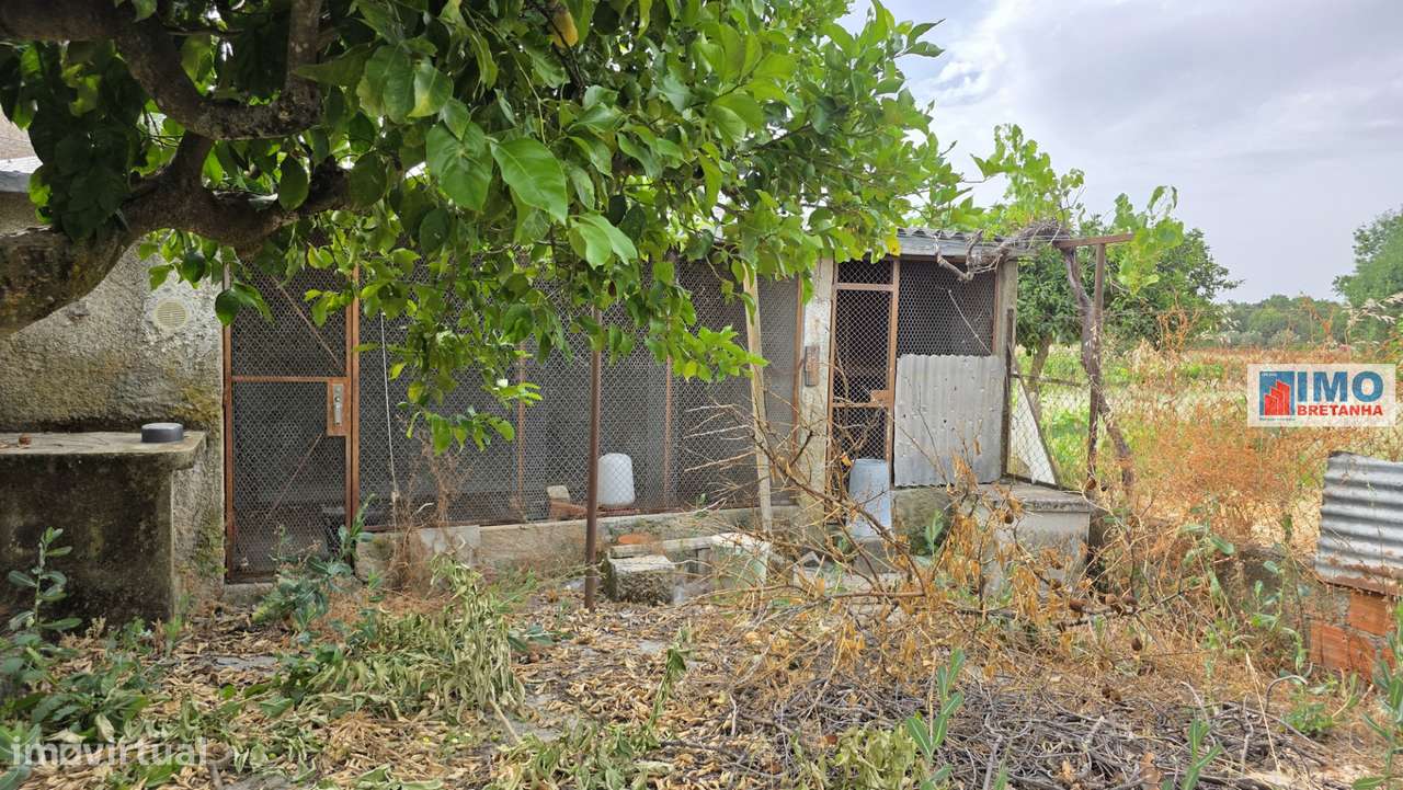Quinta com garagem em Escalos de Cima-7