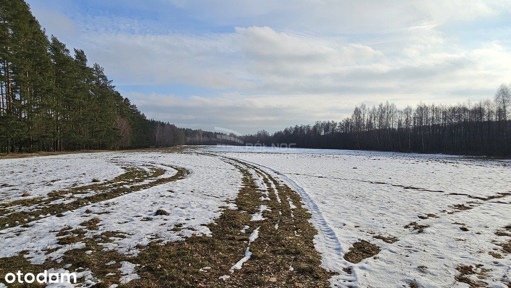 Działka w otulinie lasu niedaleko jeziora Makosiej