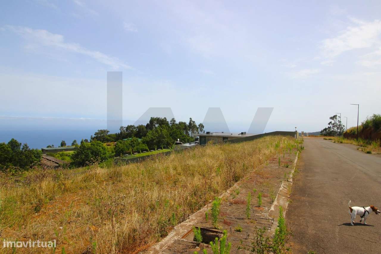 Lote com 1.501m2, declive suave, 320m2 de área de construção, orientaç - Grande imagem: 3/52