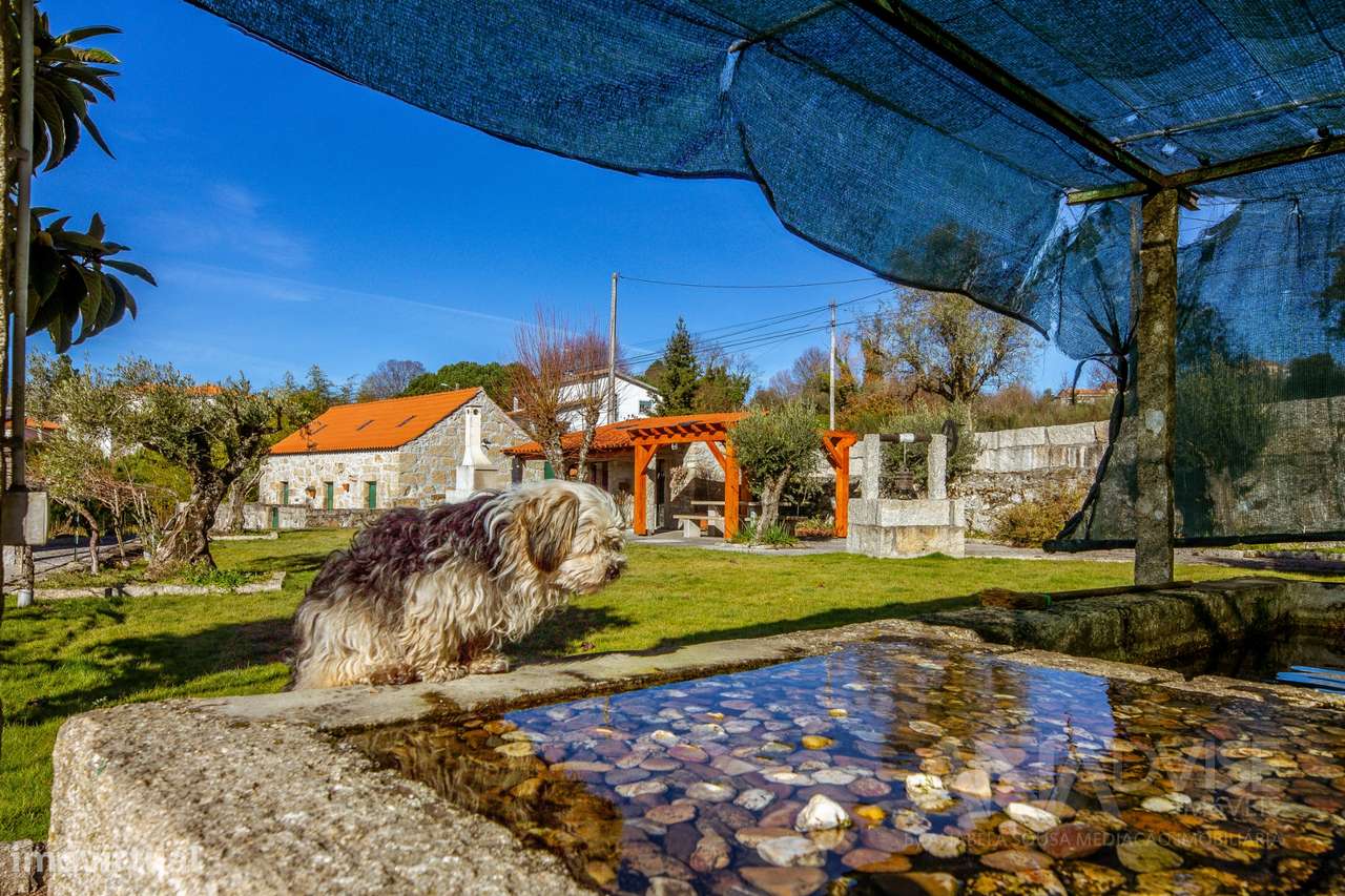 Quinta T4+3 Venda em Mangualde, Mesquitela e Cunha Alta,Mangualde - Grande imagem: 2/60