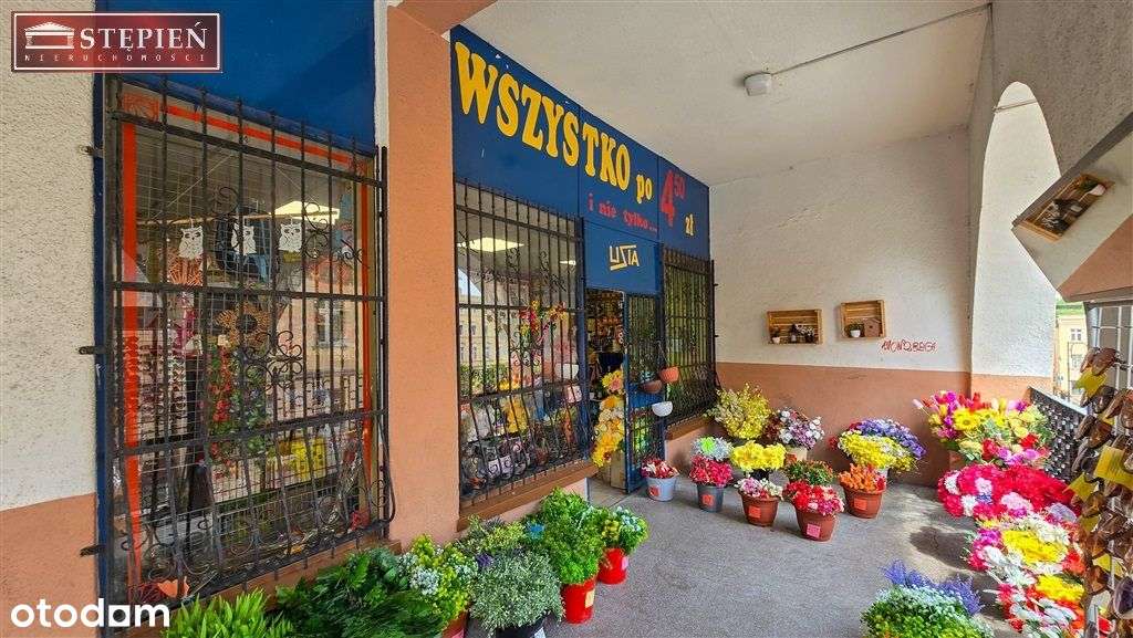 Prosperujacy biznes w Rynku w Bolkowie - Pełny obrazek: 4/10