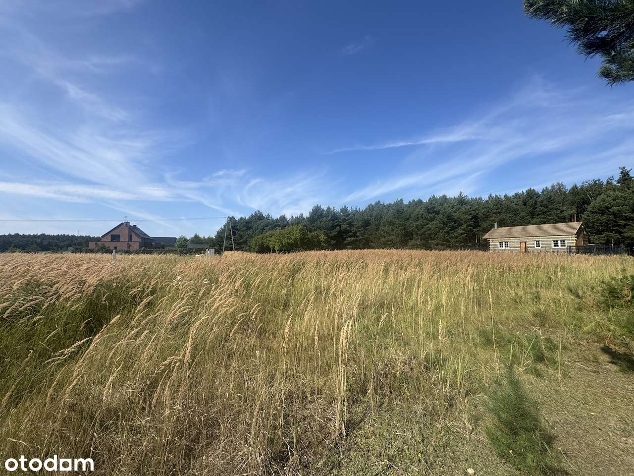 Wierzyce Osiedle Akacjowe - przy lesie-8