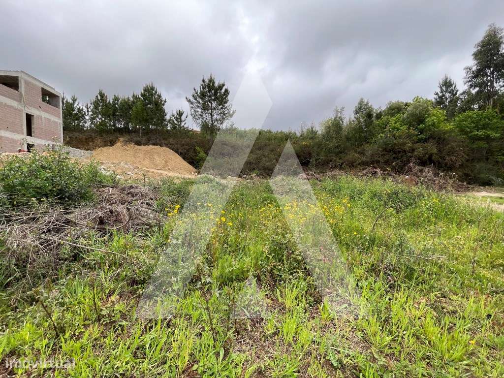 Lote para construção em Palmaz - Oliveira de Azeméis - Grande imagem: 4/14