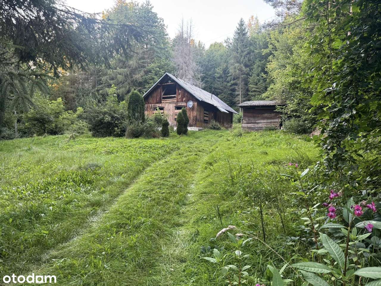 Łączki Jagiellońskie, siedlisko w malowniczym otoczeniu lasu i natury-2