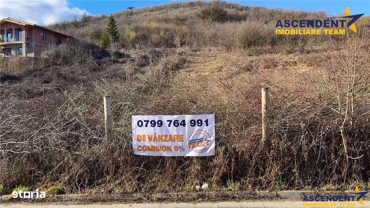 FILM!2.580mp, intravilan,construibil, sursa proprie apa, Valea Iubirii - Imagine principală: 4/6