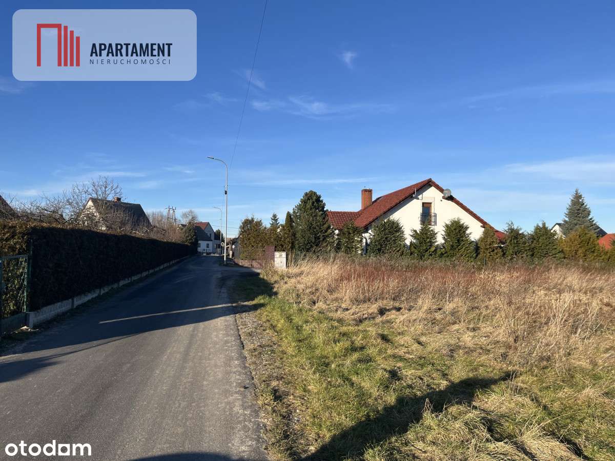 Duża działka w Dolinie Baryczy-media w drodze - Pełny obrazek: 4/10