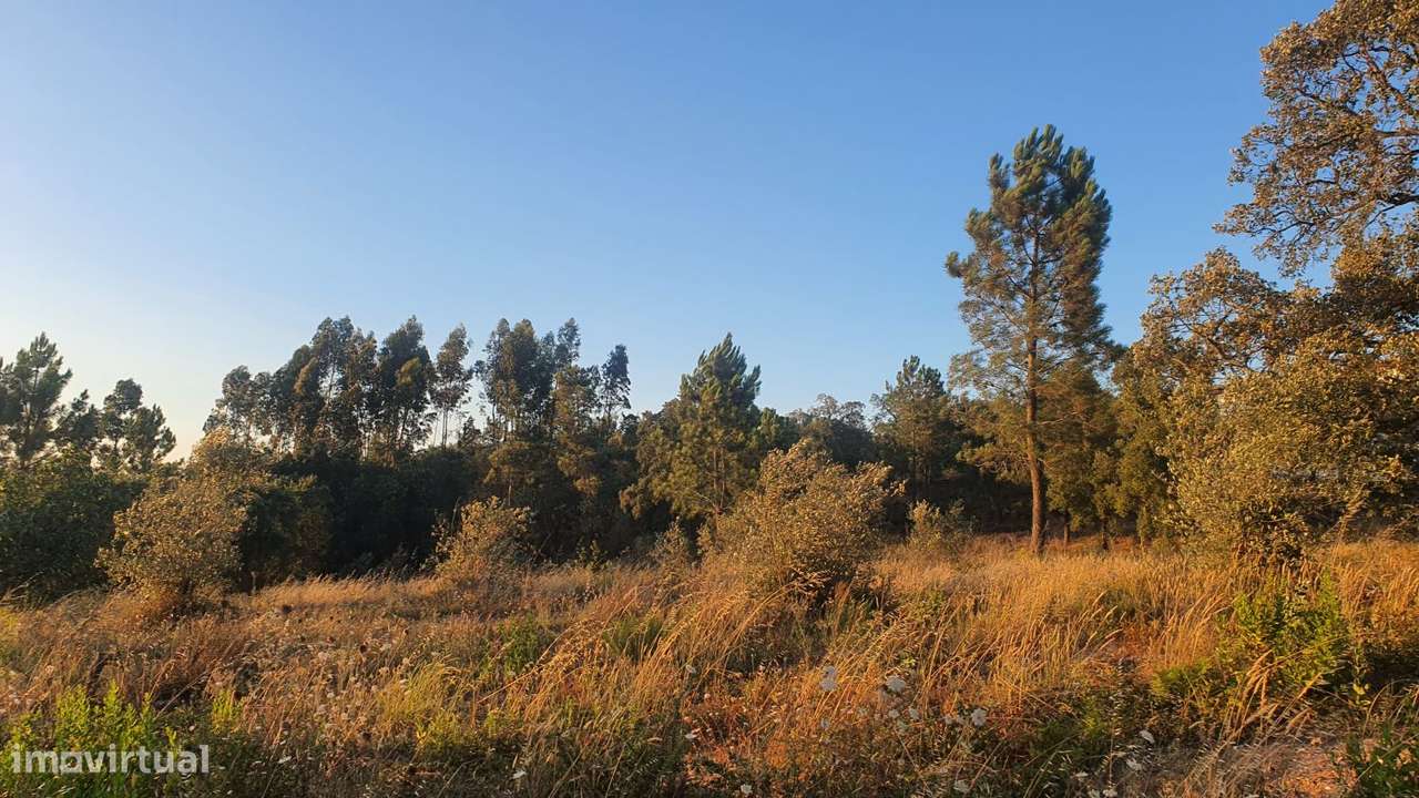 Terreno para Moradia com vista para a Serra D'Aire e Candeeiros-7