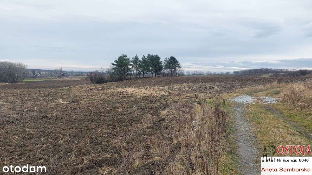 Działka budowlano-rolna pod zabudowę!-4