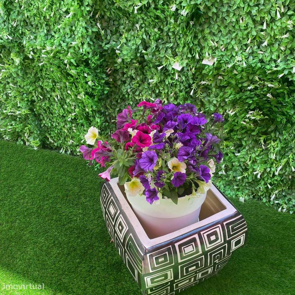 T2 +1 com Terraço  Zona Histórica Leça da Palmeira-42