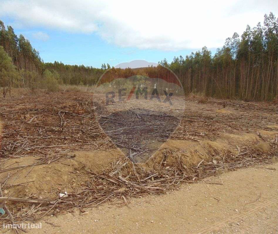 Terreno  para venda - Grande imagem: 2/7